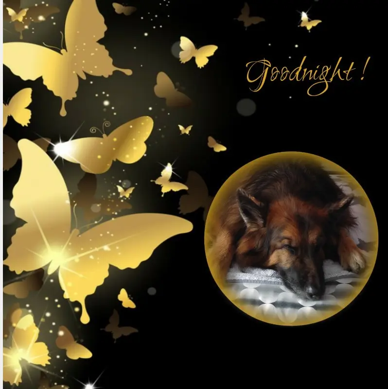 Condolence image of Dobrej Nocki❤️❤️❤️mój Ukochany❤️❤️❤️❤️❤️❤️❤️Misieńku❤️❤️❤️