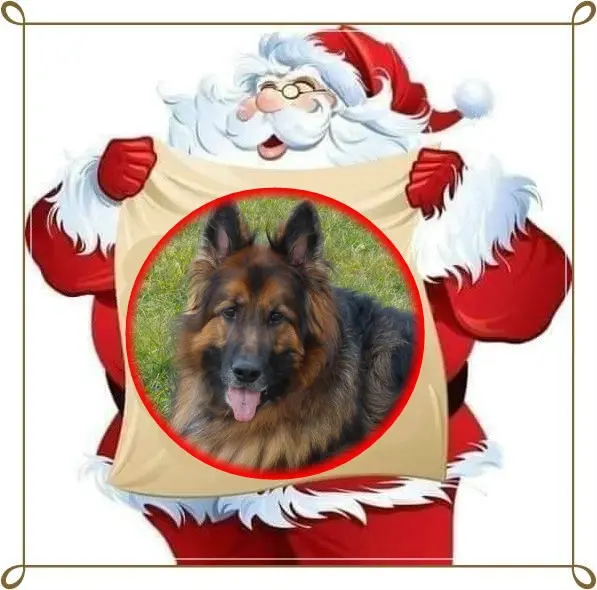 Condolence image of Dzień Dobry❤️❤️❤️mój Ukochany❤️❤️❤️❤️❤️Misieńku❤️❤️❤️