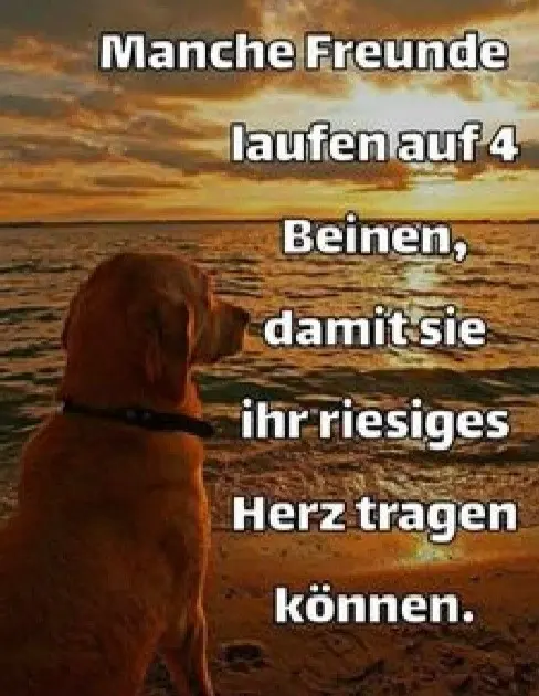 Condolence image of Daniela mit Pauline im ♥️ (+27.05.2021)