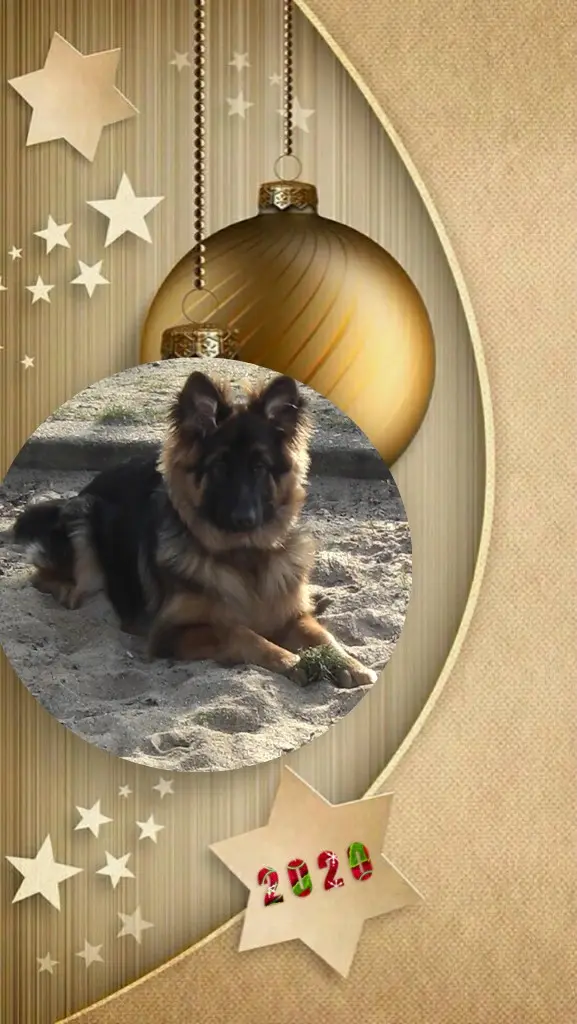 Condolence image of Dzień Dobry❤️❤️❤️mój Ukochany❤️❤️❤️❤️❤️Misieńku❤️❤️❤️