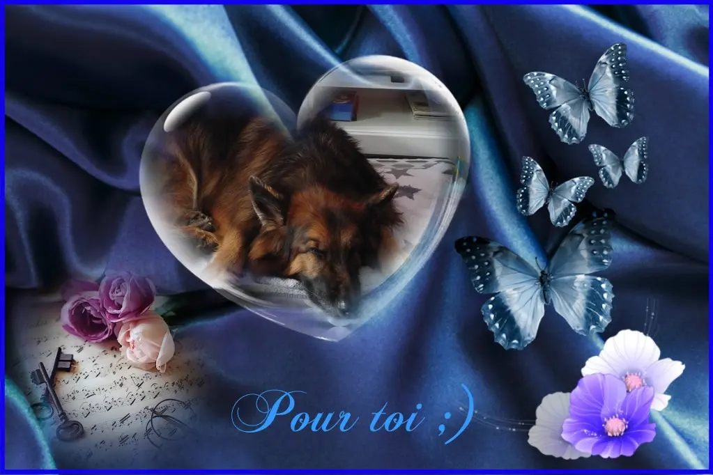 Condolence image of Dobrej Nocki❤️❤️❤️mój Ukochany❤️❤️❤️❤️❤️❤️❤️Misieńku❤️❤️❤️