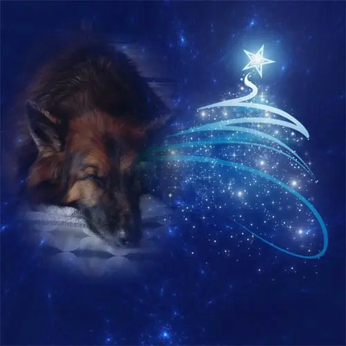 Condolence image of Dobrej Nocki❤️❤️❤️mój Ukochany❤️❤️❤️❤️❤️❤️❤️Misieńku❤️❤️❤️