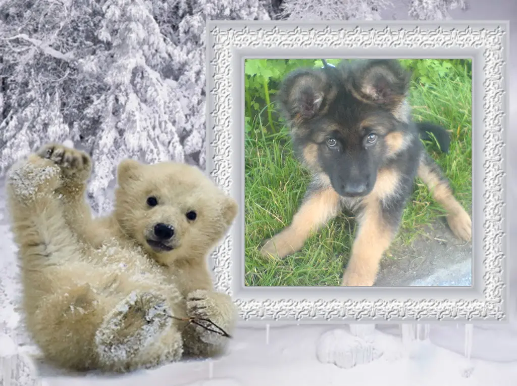 Condolence image of Dzień Dobry❤️❤️❤️mój Ukochany❤️❤️❤️❤️❤️Misieńku❤️❤️❤️