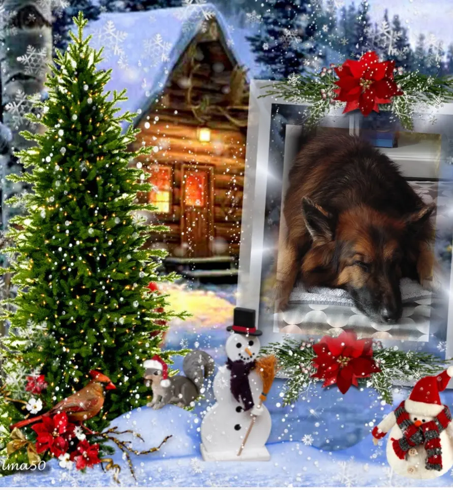 Condolence image of Dobrej Nocki❤️❤️❤️mój Ukochany❤️❤️❤️❤️❤️❤️❤️Misieńku❤️❤️❤️