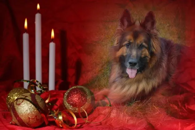 Condolence image of Dzień Dobry❤️❤️❤️mój Ukochany❤️❤️❤️❤️❤️Misieńku❤️❤️❤️