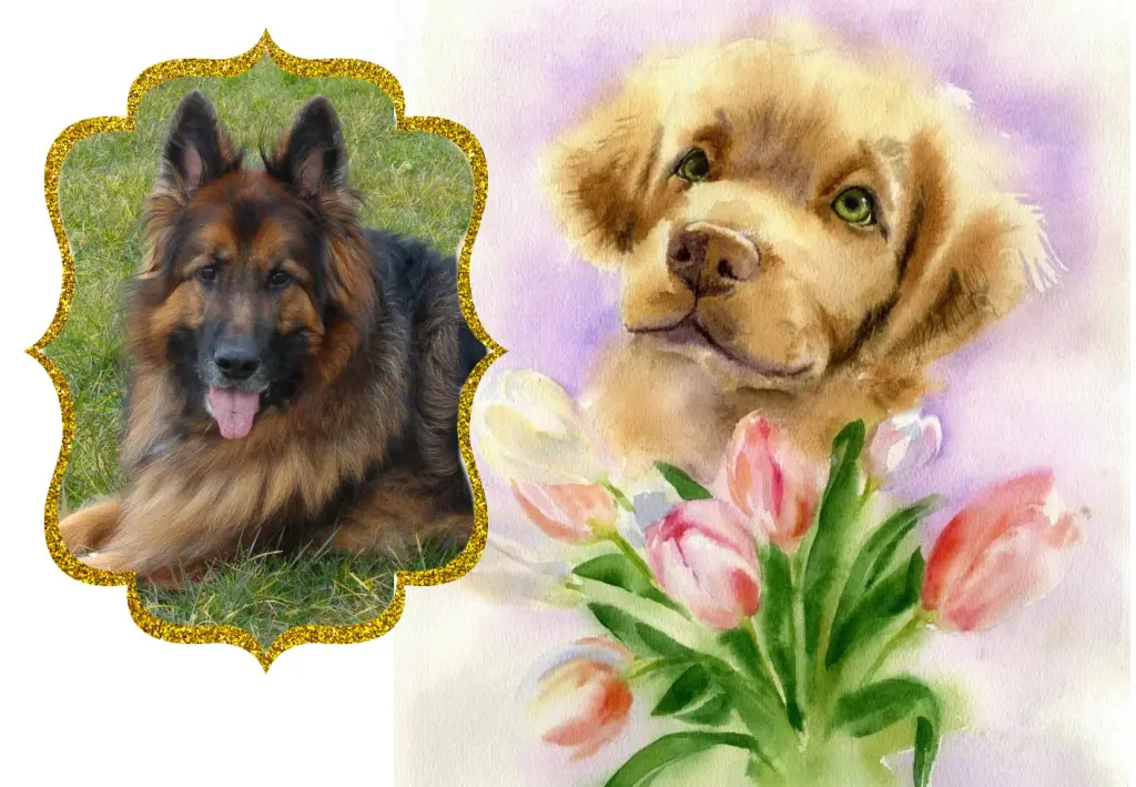 Condolence image of Sonntags❤️Sternchen❤️❤️❤️❤️