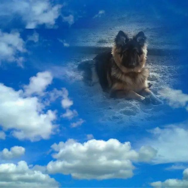 Condolence image of Dzień Dobry❤️❤️❤️mój Ukochany❤️❤️❤️❤️❤️Misieńku❤️❤️❤️