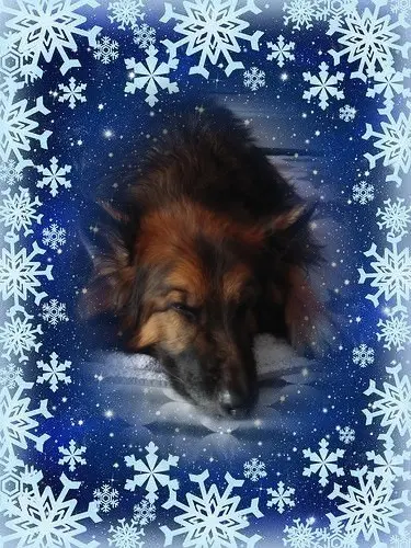 Condolence image of Dobrej Nocki❤️❤️❤️mój Ukochany❤️❤️❤️❤️❤️❤️❤️Misieńku❤️❤️❤️