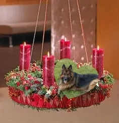 Condolence image of Dzień Dobry❤️❤️❤️mój Ukochany❤️❤️❤️❤️❤️Misieńku❤️❤️❤️