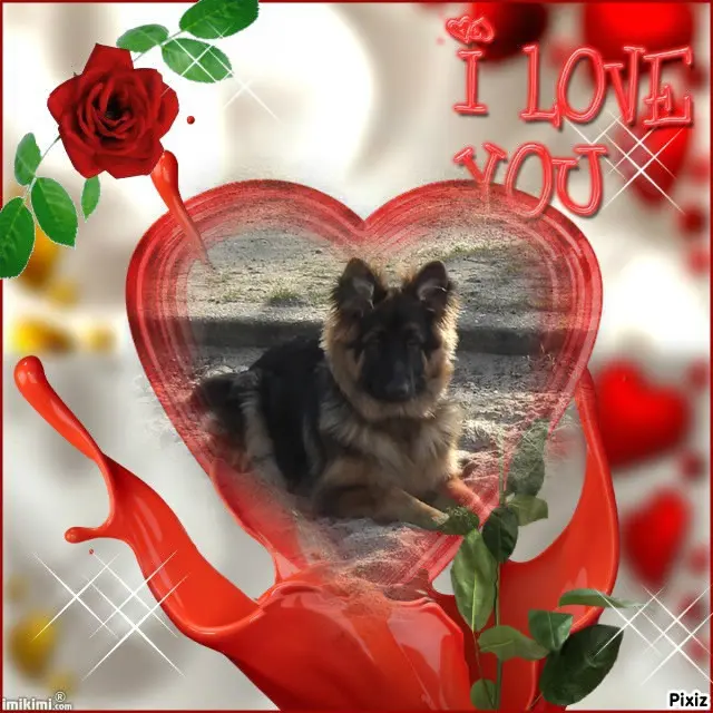 Condolence image of Dzień Dobry❤️❤️❤️mój Ukochany❤️❤️❤️❤️❤️Misieńku❤️❤️❤️