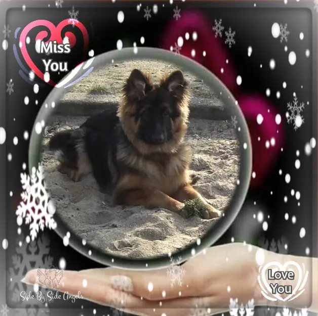 Condolence image of Dzień Dobry❤️❤️❤️mój Ukochany❤️❤️❤️❤️❤️Misieńku❤️❤️❤️