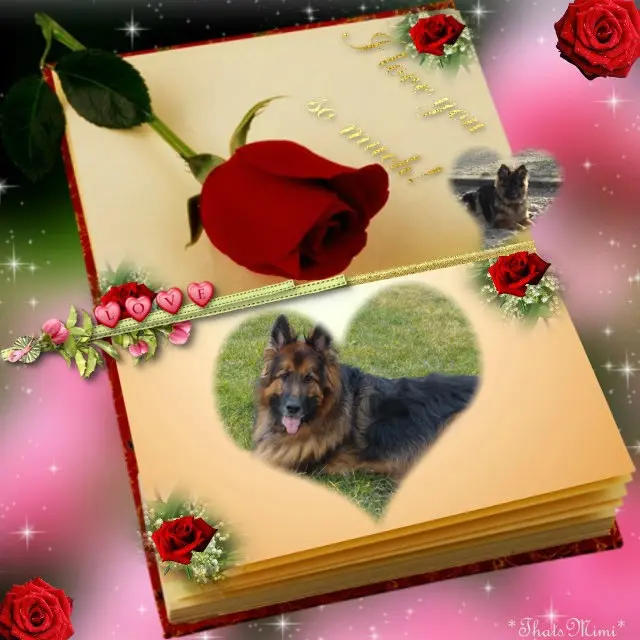 Condolence image of Dzień Dobry❤️❤️❤️mój Ukochany❤️❤️❤️❤️❤️Misieńku❤️❤️❤️