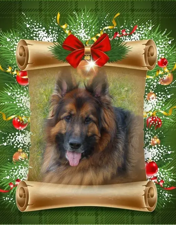 Condolence image of Dobry wieczór❤️❤️❤️mój Ukochany❤️❤️❤️❤️❤️❤️❤️❤️Misieńku❤️❤️❤️