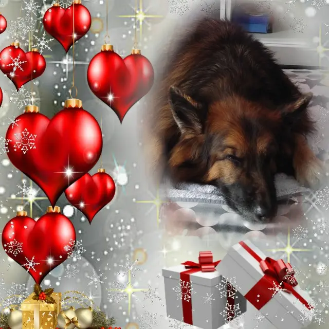 Condolence image of Dobrej Nocki❤️❤️❤️mój Ukochany❤️❤️❤️❤️❤️❤️❤️Misieńku❤️❤️❤️