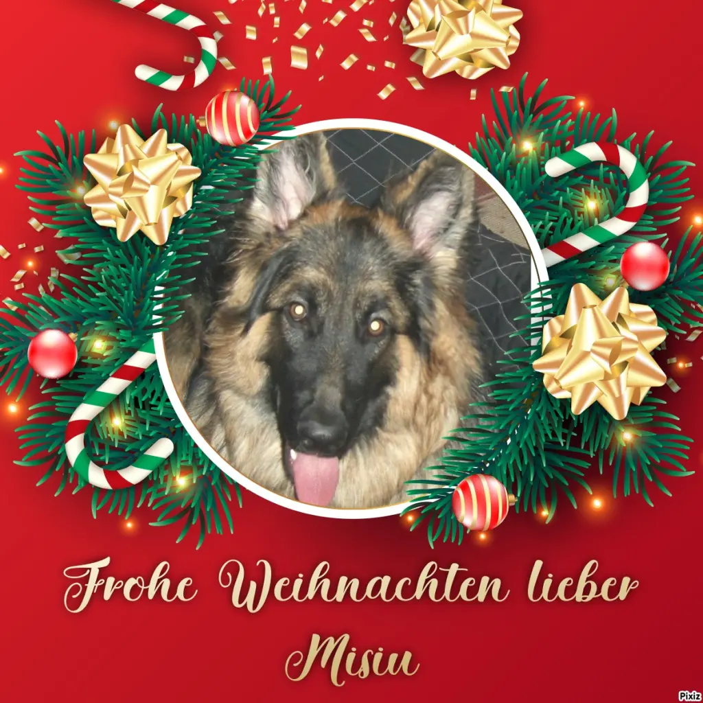 Condolence image of Tanja mit Timmy im Herzen