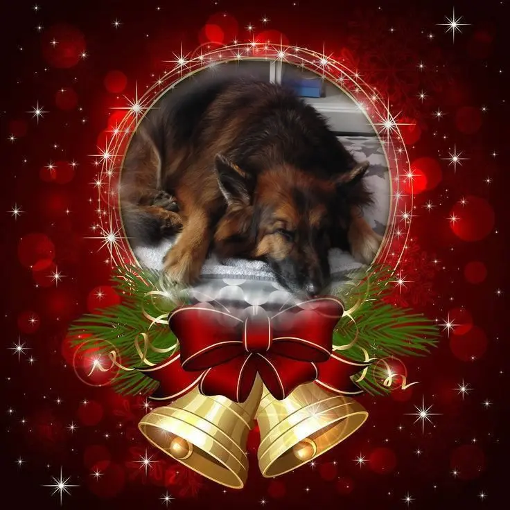 Condolence image of Dobrej Nocki❤️❤️❤️mój Ukochany❤️❤️❤️❤️❤️❤️❤️Misieńku❤️❤️❤️