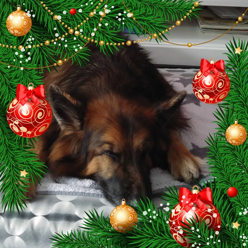 Condolence image of Dobrej Nocki❤️❤️❤️mój Ukochany❤️❤️❤️❤️❤️❤️❤️Misieńku❤️❤️❤️