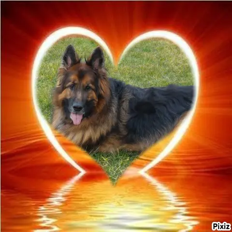 Condolence image of Dzień Dobry❤️❤️❤️mój Ukochany❤️❤️❤️❤️❤️Misieńku❤️❤️❤️