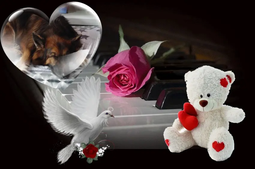 Condolence image of Dobrej Nocki❤️❤️❤️mój Ukochany❤️❤️❤️❤️❤️❤️❤️Misieńku❤️❤️❤️