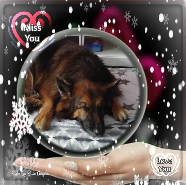 Condolence image of Dobrej Nocki❤️❤️❤️mój Ukochany❤️❤️❤️❤️❤️❤️❤️Misieńku❤️❤️❤️