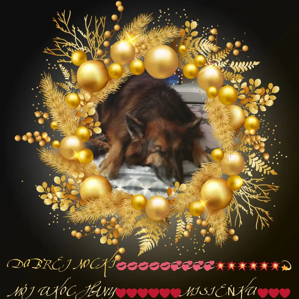 Condolence image of Dobrej Nocki❤️❤️❤️mój Ukochany❤️❤️❤️❤️❤️❤️❤️Misieńku❤️❤️❤️