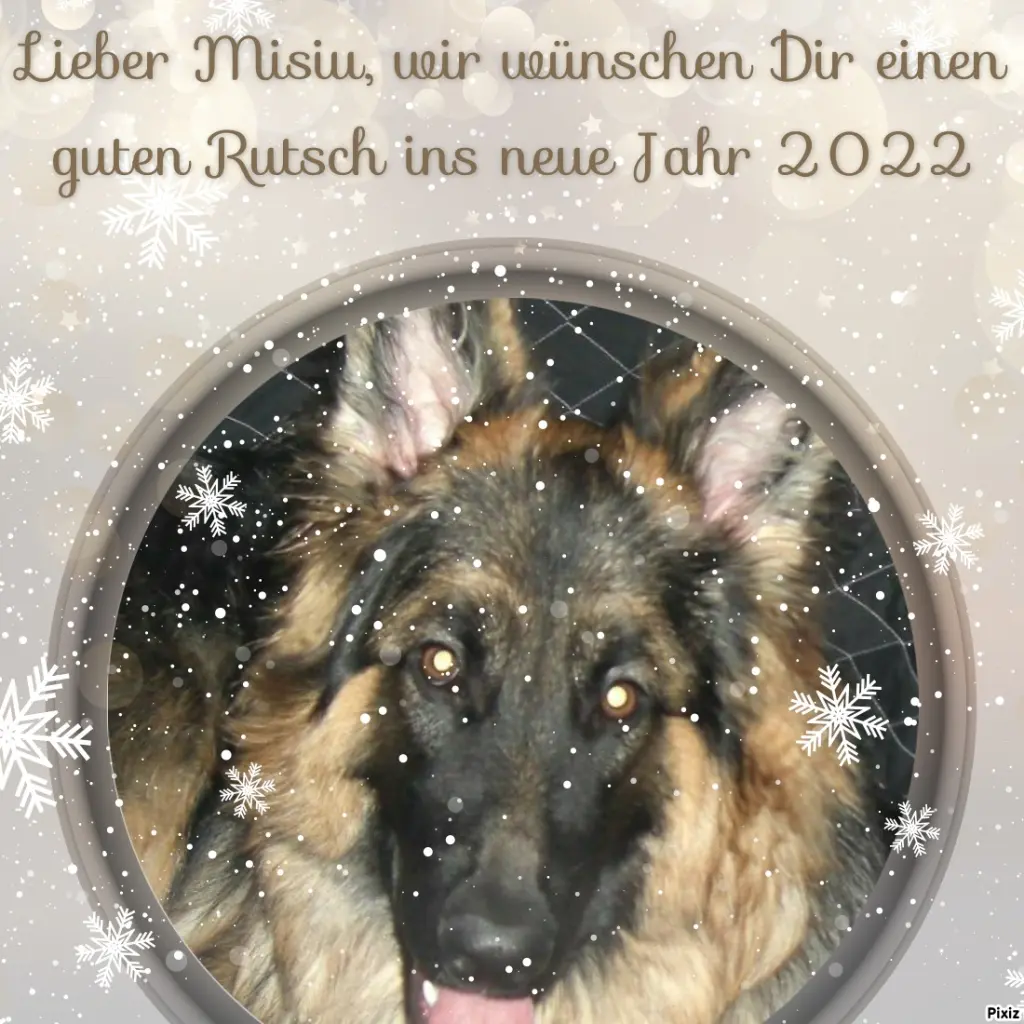 Condolence image of Tanja mit Timmy im Herzen