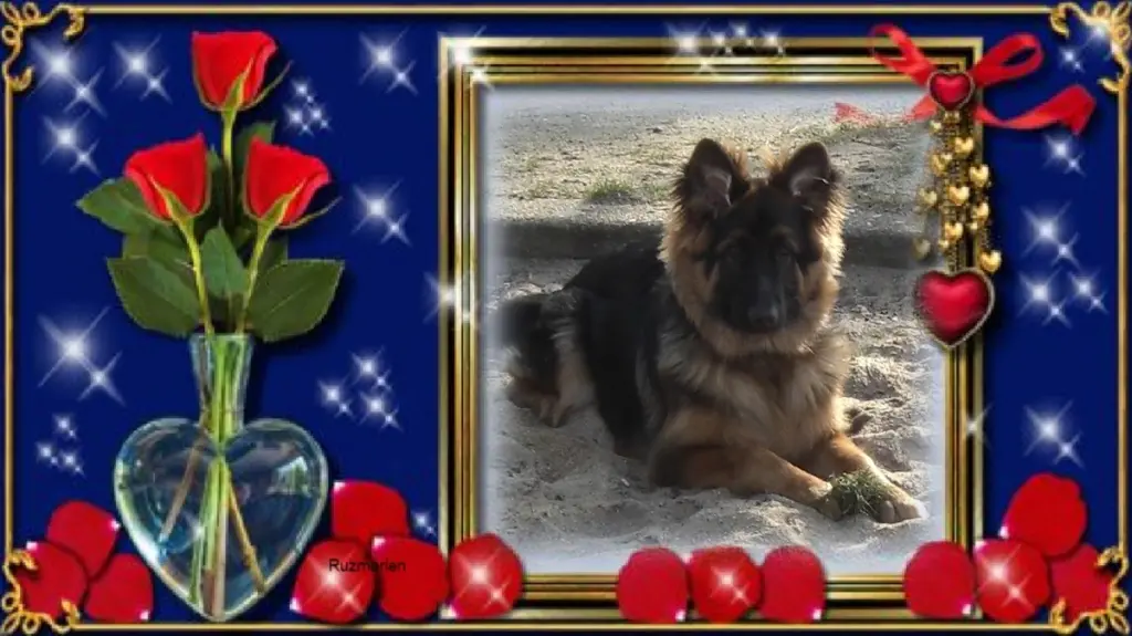 Condolence image of Dzień Dobry❤️❤️❤️mój Ukochany❤️❤️❤️❤️❤️Misieńku❤️❤️❤️