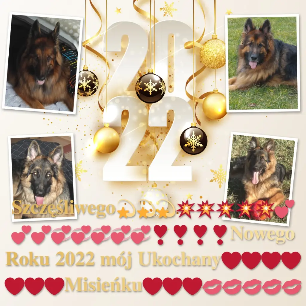 Condolence image of Misieńku❤️❤️❤️Sczęśliwego Nowego Roku❤️za Tęczowym Mostem❤️