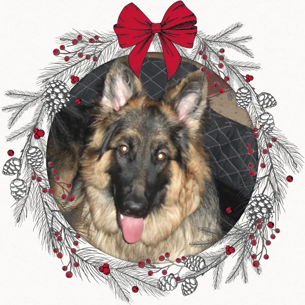 Condolence image of Dzień Dobry❤️❤️❤️mój Ukochany❤️❤️❤️❤️❤️Misieńku❤️❤️❤️