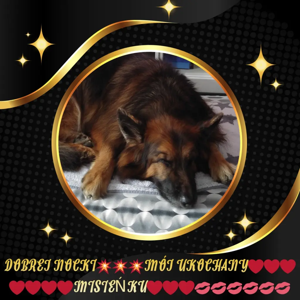Condolence image of Dobrej Nocki❤️❤️❤️mój Ukochany❤️❤️❤️❤️❤️❤️❤️Misieńku❤️❤️❤️