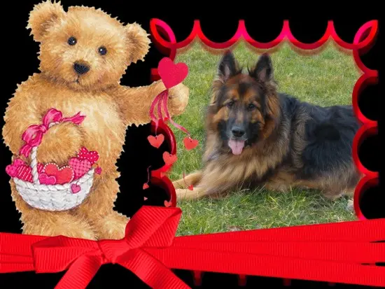Condolence image of Dzień Dobry❤️❤️❤️mój Ukochany❤️❤️❤️❤️❤️Misieńku❤️❤️❤️