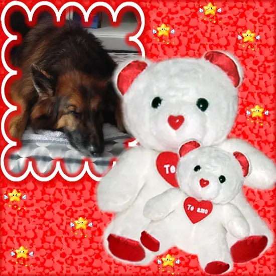 Condolence image of Dobrej Nocki❤️❤️❤️mój Ukochany❤️❤️❤️❤️❤️❤️❤️Misieńku❤️❤️❤️