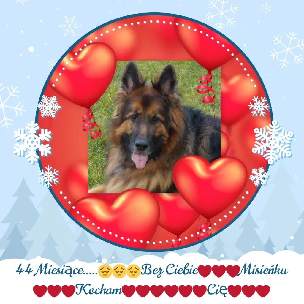Condolence image of 44.Miesiące.....Bez Ciebie❤️❤️❤️Mińku❤️❤️❤️...