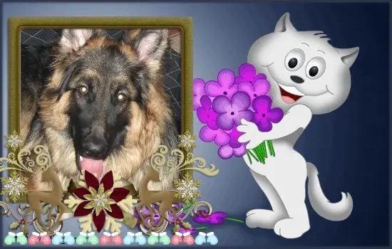 Condolence image of Sternchenpost ⭐