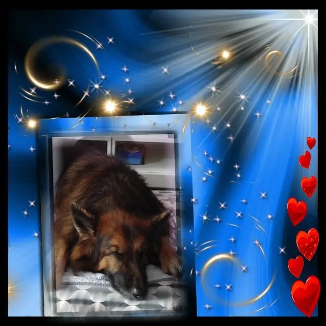 Condolence image of Dobrej Nocki❤️❤️❤️mój Ukochany❤️❤️❤️❤️❤️❤️❤️Misieńku❤️❤️❤️