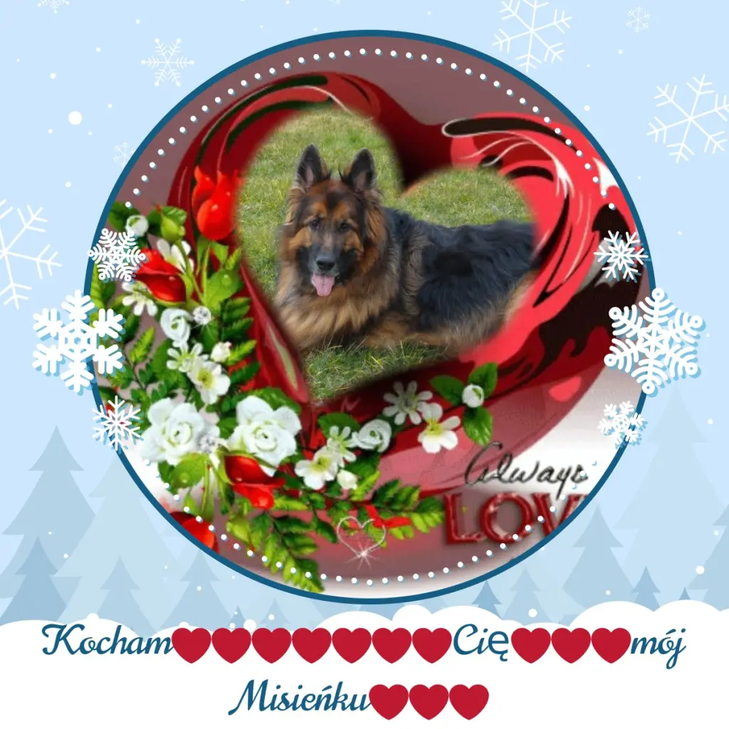 Condolence image of Kochany❤️❤️❤️Misiu❤️❤️❤️