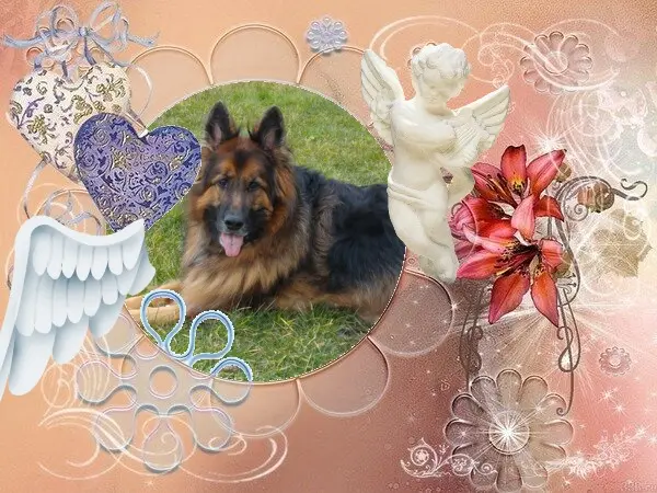 Condolence image of Dzień Dobry❤️❤️❤️mój Ukochany❤️❤️❤️❤️❤️Misieńku❤️❤️❤️