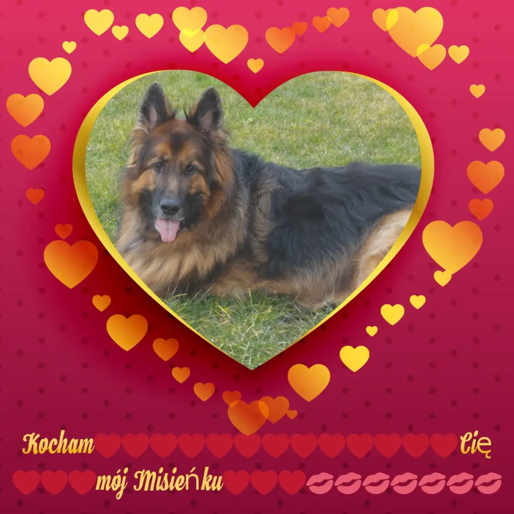 Condolence image of Dzień Dobry❤️❤️❤️mój Ukochany❤️❤️❤️❤️❤️Misieńku❤️❤️❤️