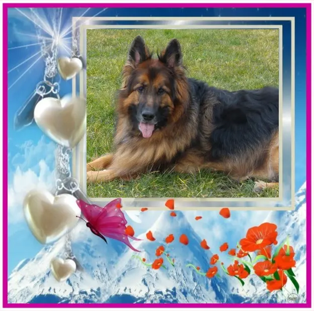 Condolence image of Dzień Dobry❤️❤️❤️mój Ukochany❤️❤️❤️❤️❤️Misieńku❤️❤️❤️
