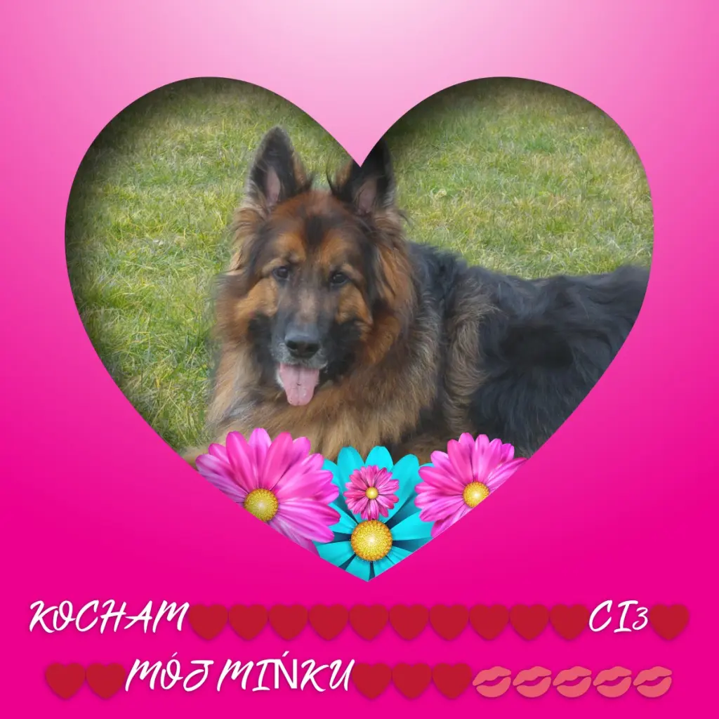 Condolence image of Dzień Dobry❤️❤️❤️mój Ukochany❤️❤️❤️❤️❤️Misieńku❤️❤️❤️