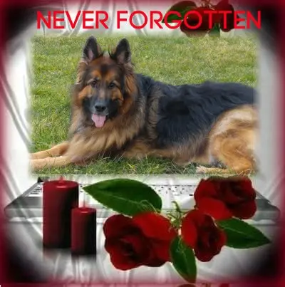 Condolence image of Dzień Dobry❤️❤️❤️mój Ukochany❤️❤️❤️❤️❤️❤️❤️Misieńku❤️❤️❤️