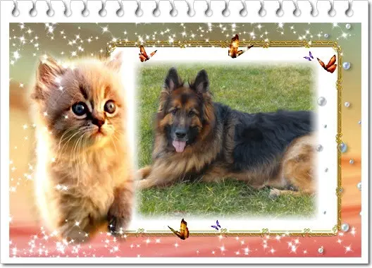 Condolence image of Dzień Dobry❤️❤️❤️mój Ukochany❤️❤️❤️❤️❤️❤️❤️Misieńku❤️❤️❤️