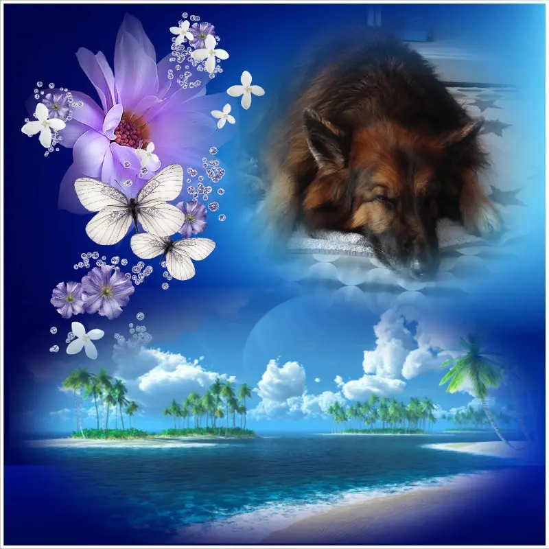 Condolence image of Dobrej Nocki❤️❤️❤️❤️❤️❤️mój Ukochany❤️❤️❤️❤️❤️❤️Misieńku❤️❤️❤️