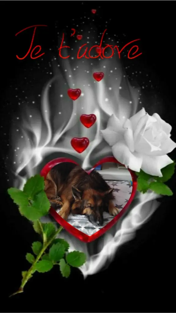 Condolence image of Dobrej Nocki❤️❤️❤️❤️❤️❤️mój Ukochany❤️❤️❤️❤️❤️❤️Misieńku❤️❤️❤️