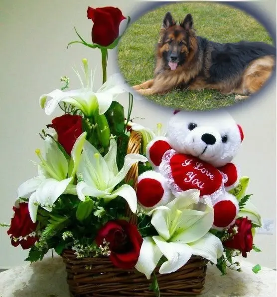 Condolence image of Dobry Wieczór❤️❤️❤️mój Ukochany❤️❤️❤️❤️❤️Misieńku❤️❤️❤️