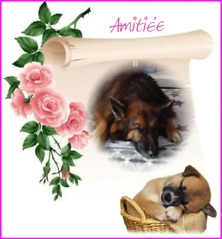 Condolence image of Dobrej Nocki❤️❤️❤️mój Ukochany❤️❤️❤️❤️❤️❤️❤️Misieńku❤️❤️❤️