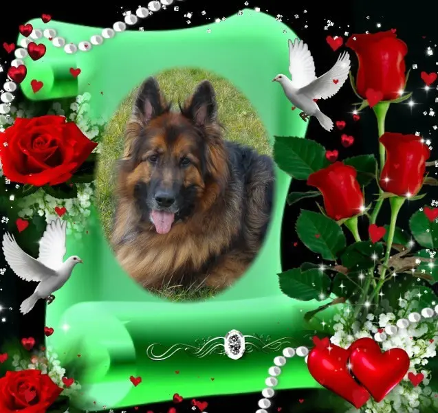 Condolence image of Dzień Dobry❤️❤️❤️mój Ukochany❤️❤️❤️❤️❤️Misieńku❤️❤️❤️