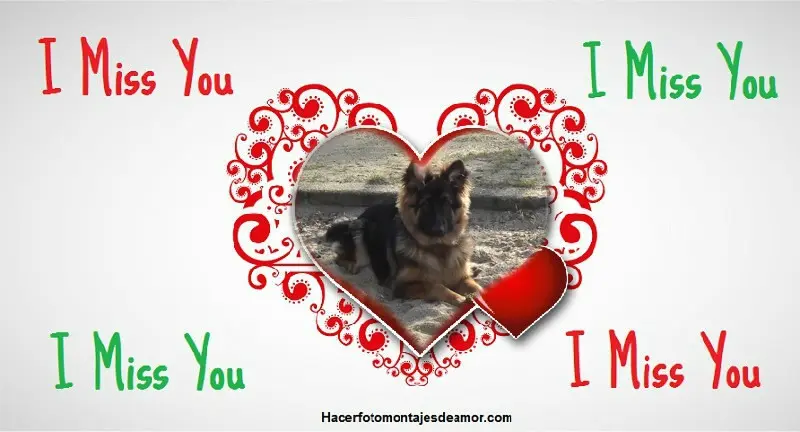 Condolence image of Dzień Dobry❤️❤️❤️mój Ukochany❤️❤️❤️❤️❤️Misieńku❤️❤️❤️