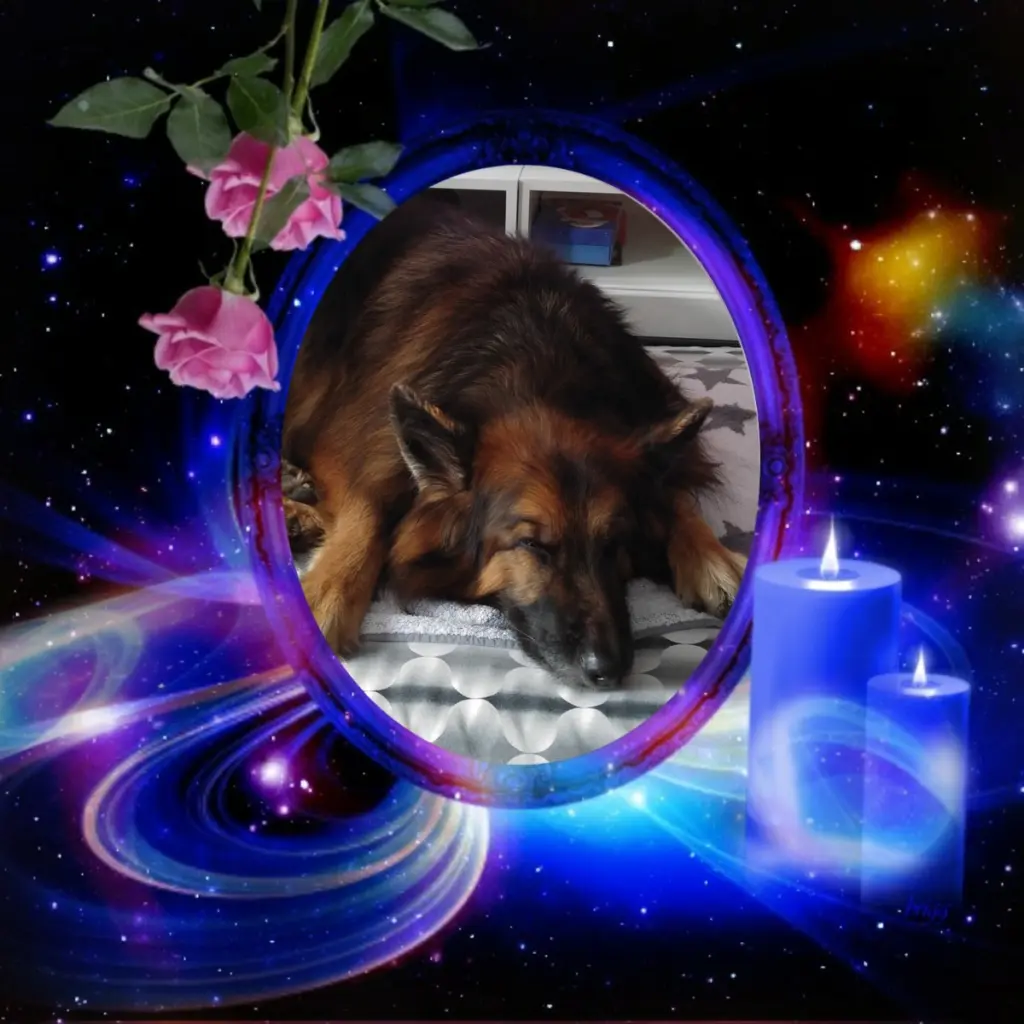 Condolence image of Dobrej Nocki❤️❤️❤️mój Ukochany❤️❤️❤️❤️❤️❤️❤️Misieńku❤️❤️❤️