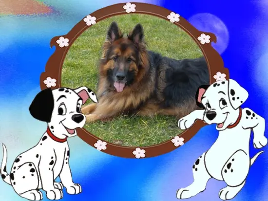 Condolence image of Dzień Dobry❤️❤️❤️mój Ukochany❤️❤️❤️❤️❤️Misieńku❤️❤️❤️